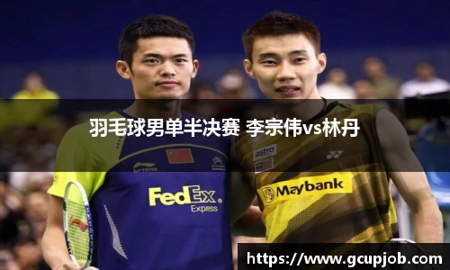 羽毛球男单半决赛 李宗伟vs林丹