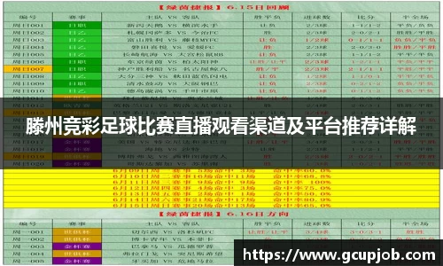 滕州竞彩足球比赛直播观看渠道及平台推荐详解